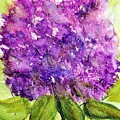Lilacs in bloom by Deahn Benware