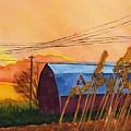 Linden by Ann Frederick