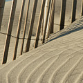Lines in the Sand Photograph by Melissa Southern Lines in the Sand Photograph by Melissa Southern