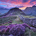 Lingmoor Fell 1.0 Photograph by Yhun Suarez Lingmoor Fell 1.0 Photograph by Yhun Suarez