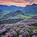 Lingmoor Fell 5.0 Photograph by Yhun Suarez Lingmoor Fell 5.0 Photograph by Yhun Suarez