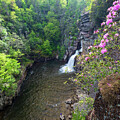 Linville Falls Plunge Basin Spring  by Chris Berrier