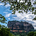 Lion Rock in Sigiriya Photograph by Arj Munoz Lion Rock in Sigiriya Photograph by Arj Munoz
