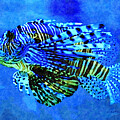 Lionfish by Karrie J Butler