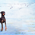 Listen to the Waves by Randi Grace Nilsberg