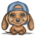 Little Dachshund's Grin by Kelly Mills