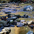 Little River In Autumn 2 Photograph by Phil Perkins Little River In Autumn 2 Photograph by Phil Perkins