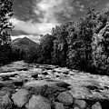 Little Su BW by Harry Banks
