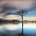 Lomond Reflection Photograph by Grant Glendinning Lomond Reflection Photograph by Grant Glendinning