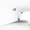 Lone Cyclist  by Jim Signorelli