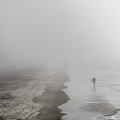 Lone Surfer in the Fog on a Beach by Good Focused