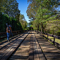 Long Bridge Running Photograph by DB Hayes Long Bridge Running Photograph by DB Hayes