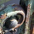 Longfellow Bridge Detail Boston by Valerie Collins