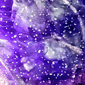 Look Up by Karen Lillard