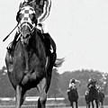 Looking back, 1973, Secretariat, stretch run, Belmont Stakes Painting by Thomas Pollart Looking back, 1973, Secretariat, stretch run, Belmont Stakes Painting by Thomas Pollart