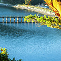 Looking Back To Bowman Bay Photograph by Tony Locke Looking Back To Bowman Bay Photograph by Tony Locke