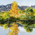 Looking Glass Lake by Anne Gifford