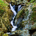 Lower Dark Hollow Falls In Autumn by Lara Ellis