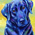 Loyal Companion - Colorful Black Labrador Retriever Dog Painting by Rebecca Wang Loyal Companion - Colorful Black Labrador Retriever Dog Painting by Rebecca Wang