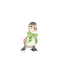 Lucky Ducky with Transparent Background Drawing by Karrie J Butler Lucky Ducky with Transparent Background Drawing by Karrie J Butler