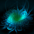 The Rose #3 Digital Art by Mary Ann Benoit The Rose #3 Digital Art by Mary Ann Benoit