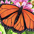 Lunch in the Garden by Shana Rowe Jackson