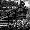 Lyon Street Steps Photograph by Doug Sturgess Lyon Street Steps Photograph by Doug Sturgess