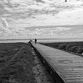 LYTHAM. The Boardwalk. Photograph by Lachlan Main LYTHAM. The Boardwalk. Photograph by Lachlan Main