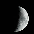 M Mouse on Quarter Moon Photograph by Russ Considine M Mouse on Quarter Moon Photograph by Russ Considine