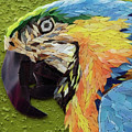 Mackey the Blue and Yellow Macaw Glass Art by Adriana Zoon Mackey the Blue and Yellow Macaw Glass Art by Adriana Zoon