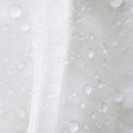 Macro Moonflower Extreem Close up by Iris Richardson