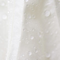 Macro Moonflower From the Left by Iris Richardson