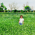 Maddie in a Wheat Field by Anne Gifford