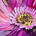 Magenta Bloom by Julie Tibus