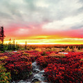 Magic of Autumn Photograph by C Renee Martin Magic of Autumn Photograph by C Renee Martin