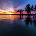 Magical Beginnings Photograph by Joe Holley Magical Beginnings Photograph by Joe Holley