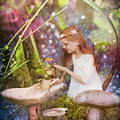 Magical Mushroom Garden Photograph by Shara Abel Magical Mushroom Garden Photograph by Shara Abel