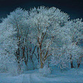 Magical Winter Night Mixed Media by Alex Mir Magical Winter Night Mixed Media by Alex Mir