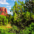 Magnificent Courthouse Butte   by Ola Allen