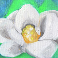 Magnolia Continues by Loretta Nash Magnolia Continues by Loretta Nash