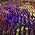 Majestic Field Digital Art by Norman Brule Majestic Field Digital Art by Norman Brule