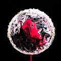 Majestic Ruby Painting by Anna Adams Majestic Ruby Painting by Anna Adams