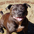 Make My Day by Elaine Teague