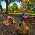 Make Way for Ducklings in Autumn - Boston, Ma. by Joann Vitali