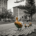Make Way For Ducklings Selective Coloring - Boston Public Gardens Photograph by Gregory Ballos Make Way For Ducklings Selective Coloring - Boston Public Gardens Photograph by Gregory Ballos