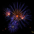Makes of Purple and Orange Photograph by David Levin Makes of Purple and Orange Photograph by David Levin