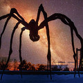 Maman Spider on Starry Sky Photograph by Tatiana Travelways Maman Spider on Starry Sky Photograph by Tatiana Travelways
