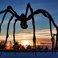 Maman the Spider, Ottawa Photograph by Tatiana Travelways Maman the Spider, Ottawa Photograph by Tatiana Travelways