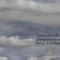 Maple Sky West Haiku by Wayne King