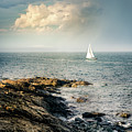 Marginal Way Ogunquit, Maine Sailboat by Alissa Beth Photography